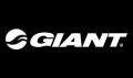 GIANT FRANCE